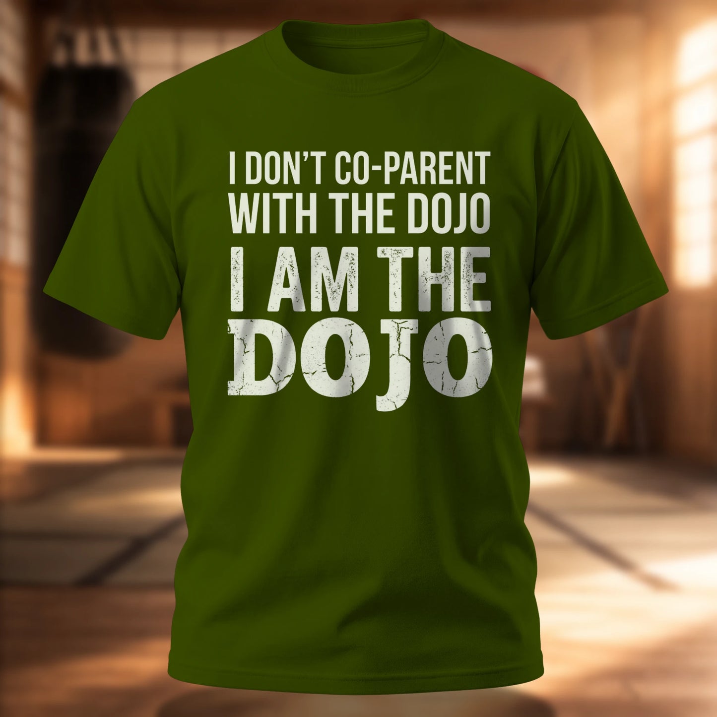 I Don't Co-Parent with the Dojo
