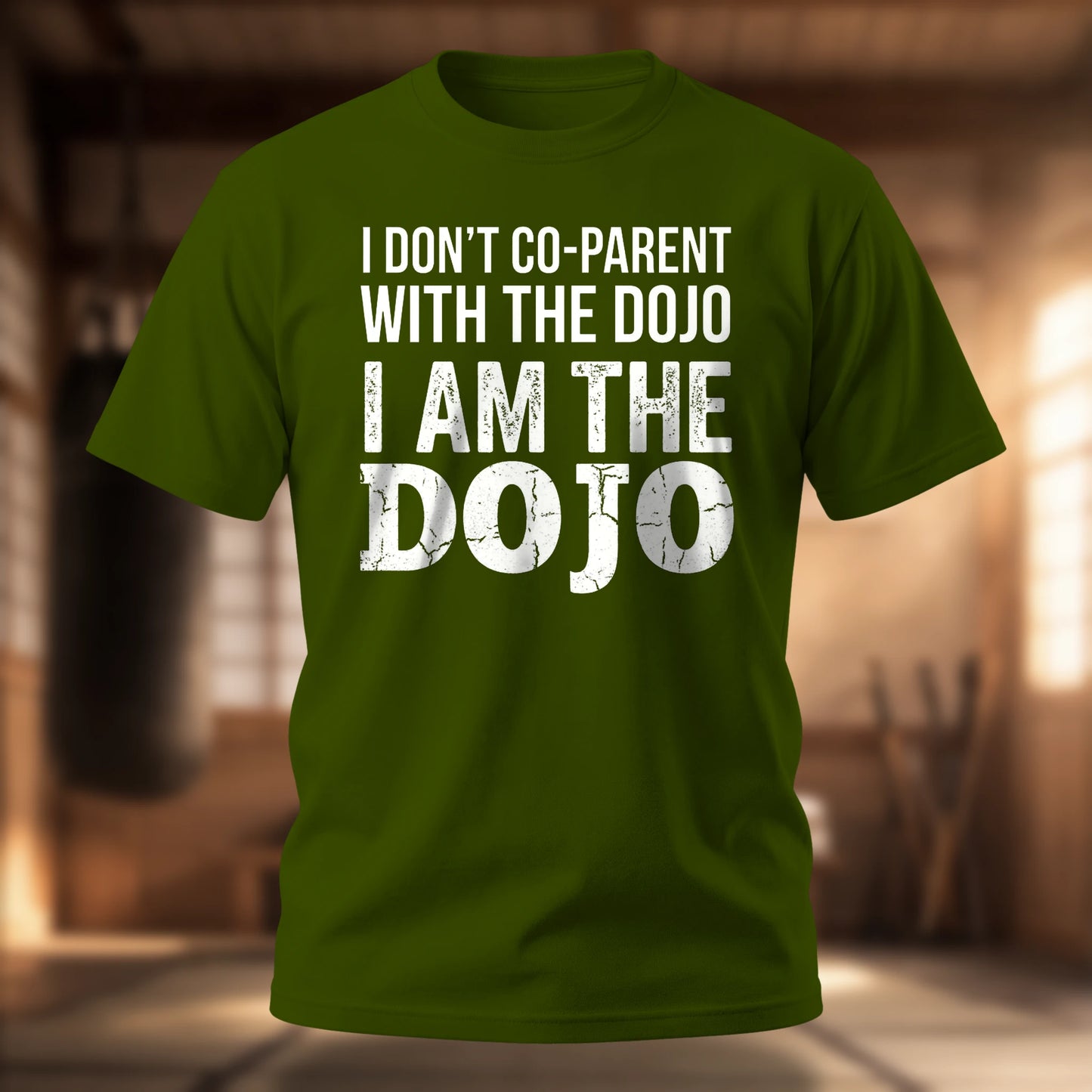 I Don't Co-Parent with the Dojo